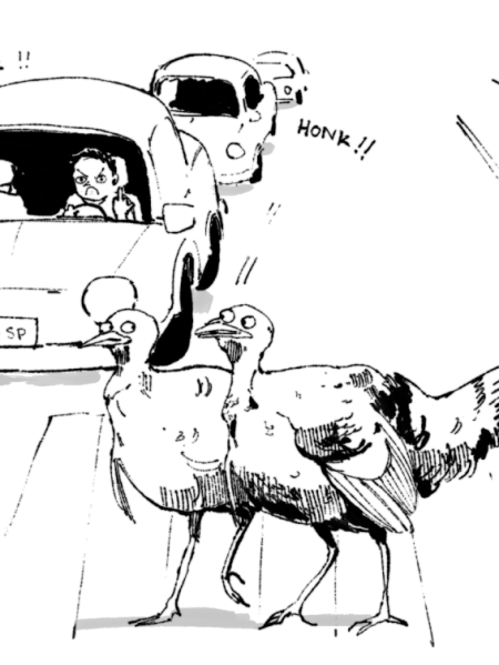 “City Turkeys”: On&nbsp;Air